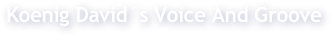 Koenig David´s Voice And Groove