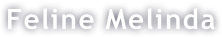 Feline Melinda