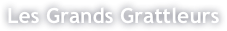 Les Grands Grattleurs