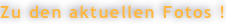 shapeimage_23_link_0