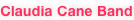 shapeimage_9_link_2